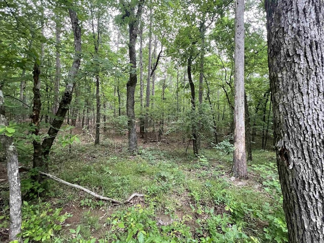 310 Cathedral Pines Ln, Mena, AR 71953