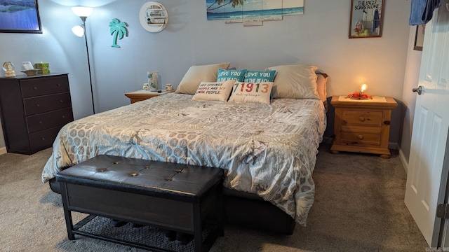 1201 Airport Rd Unit C12, Hot Springs, AR 71913 - bedroom with carpet floors and baseboards