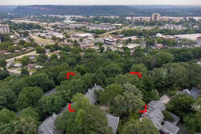 3501 Oakwood Rd Unit 9, Little Rock, AR 72202 - bird's eye view
