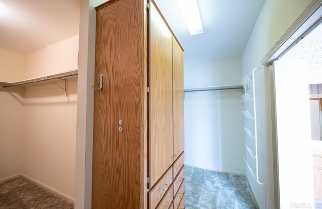 4 Hunter Ct, Little Rock, AR 72211 - spacious closet with carpet