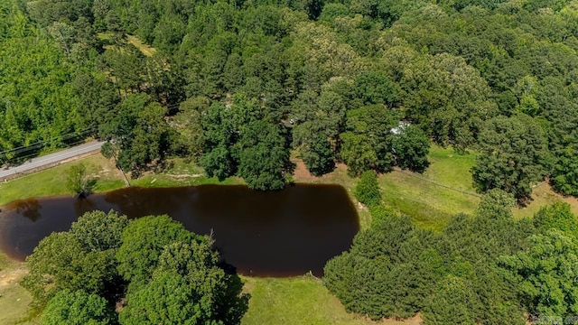 9425 Hogue Rd, Mabelvale, AR 72103 - view of property location featuring a nearby body of water and a forest