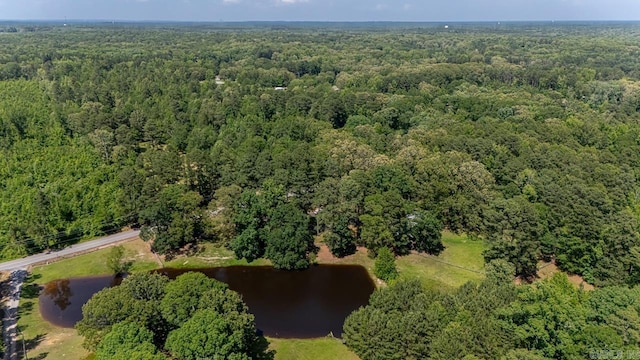 9425 Hogue Rd, Mabelvale, AR 72103 - view of property location with a heavily wooded area and a large body of water