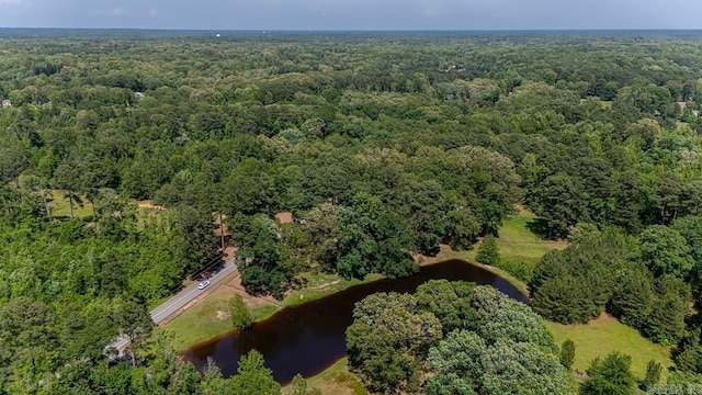 9425 Hogue Rd, Mabelvale, AR 72103 - aerial view of property's location featuring a forest and a large body of water