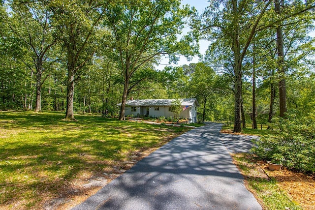 9425 Hogue Rd, Mabelvale, AR 72103 - ranch-style home featuring driveway, a front yard, and a view of trees