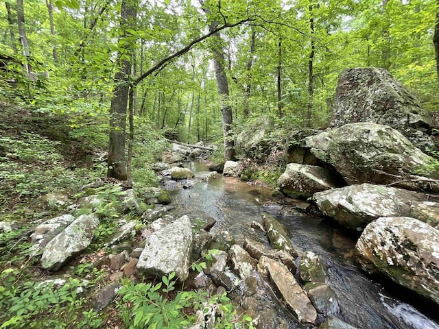 1349 Kahoka Rd, Mountain View, AR 72560 - view of woods