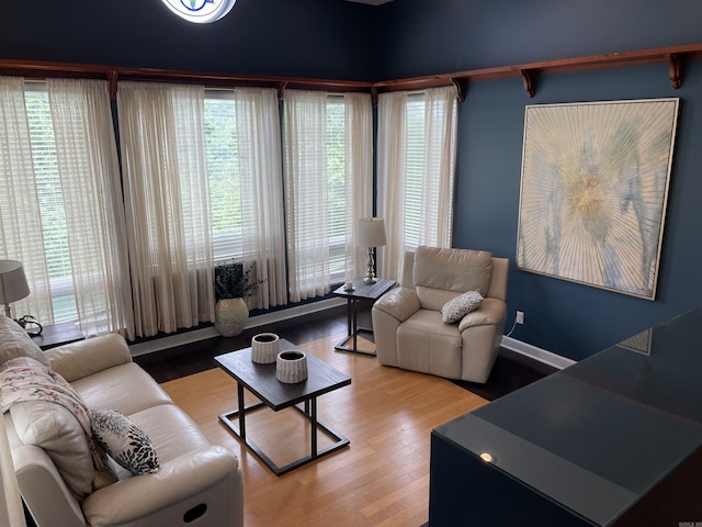 1349 Kahoka Rd, Mountain View, AR 72560 - living area with light wood finished floors, healthy amount of natural light, and baseboards