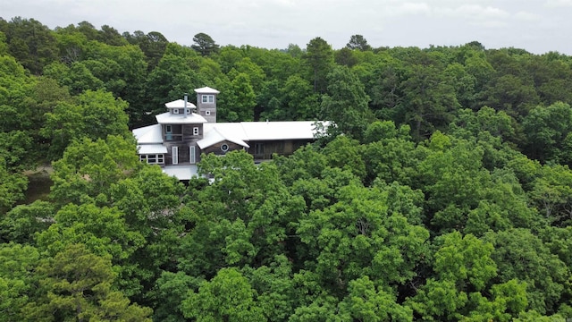 1349 Kahoka Rd, Mountain View, AR 72560 - view of subject property featuring a heavily wooded area