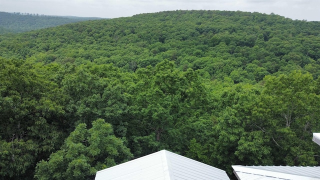1349 Kahoka Rd, Mountain View, AR 72560 - mountain view featuring a forest