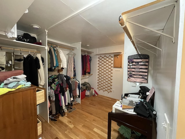 1349 Kahoka Rd, Mountain View, AR 72560 - walk in closet featuring light wood-style flooring
