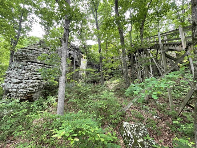 1349 Kahoka Rd, Mountain View, AR 72560 - view of undeveloped land