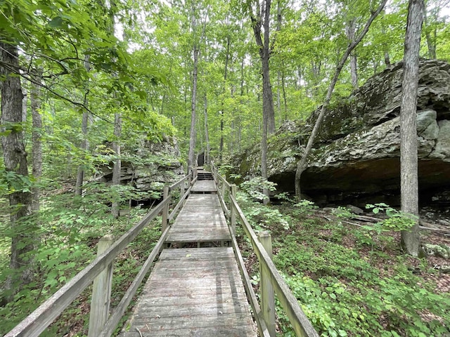 1349 Kahoka Rd, Mountain View, AR 72560 - view of community with a wooded view