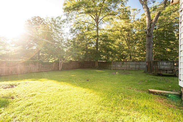 1002 N Bradley Ave, El Dorado, AR 71730 - view of yard