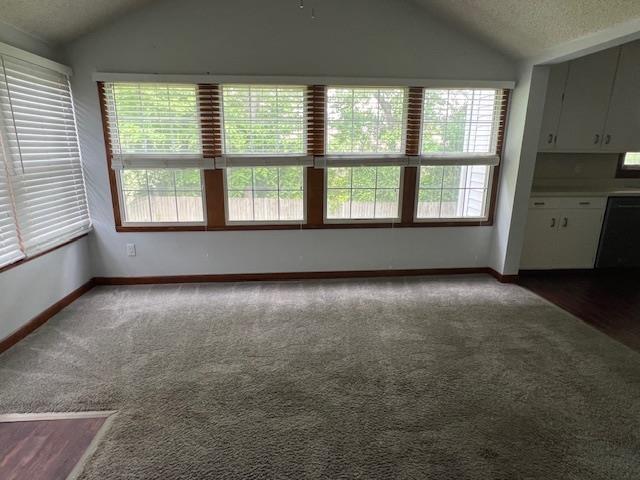 2308 Shoshoni Dr, Jonesboro, AR 72401 - unfurnished living room with vaulted ceiling, healthy amount of natural light, dark colored carpet, a textured ceiling, and baseboards