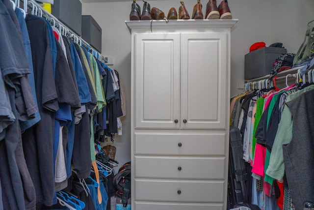 766 Mango Loop, Austin, AR 72007 - view of spacious closet