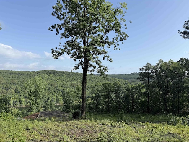 5 Island View Dr Unit 2, 3, Greers Ferry, AR 72067
