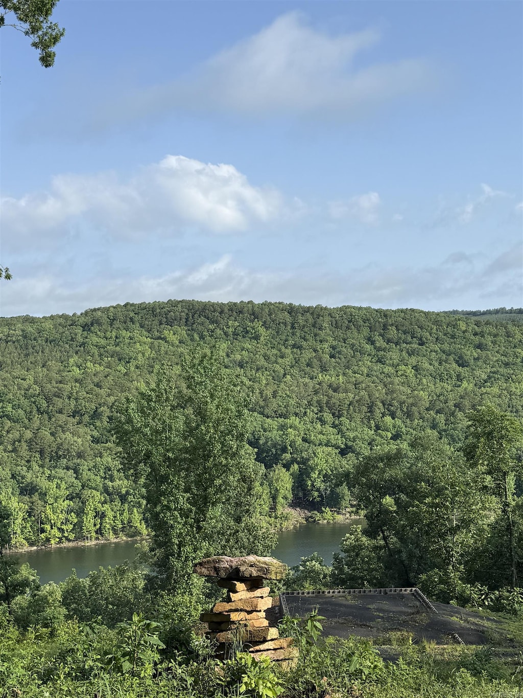 5 Island View Dr Unit 2, 3, Greers Ferry, AR 72067