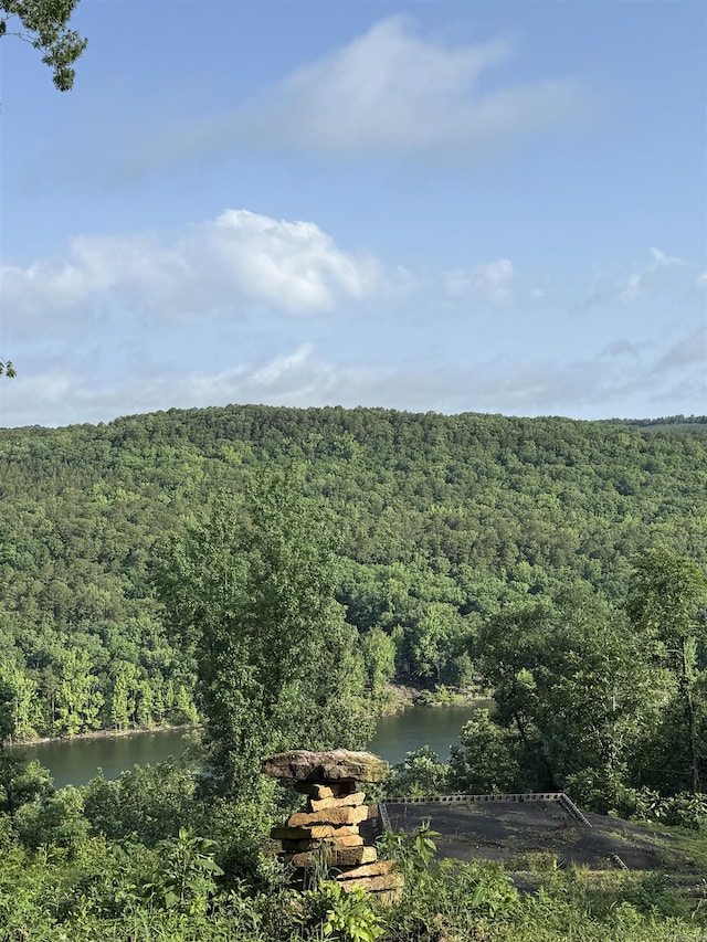 5 Island View Dr Unit 2, 3, Greers Ferry, AR 72067