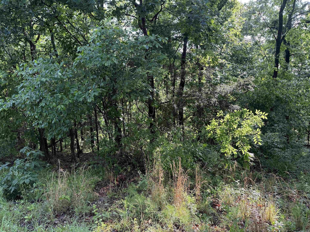 LOT9 Island View Dr, Greers Ferry, AR 72067