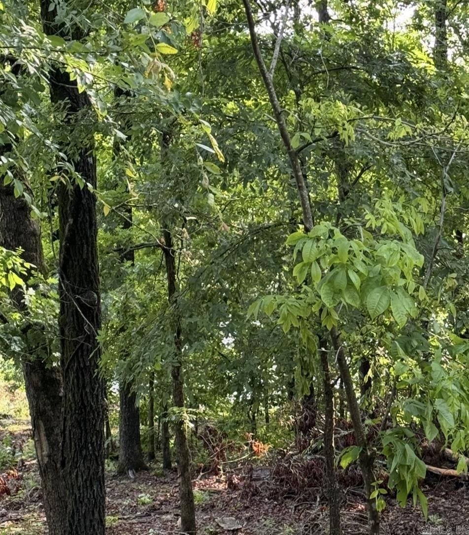 LOT9 Island View Dr, Greers Ferry, AR 72067
