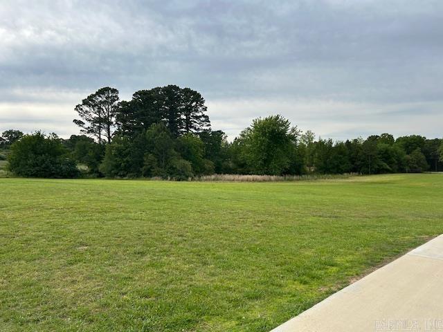 1656 Airport Dr, Mountain View, AR 72560 - view of grassy yard