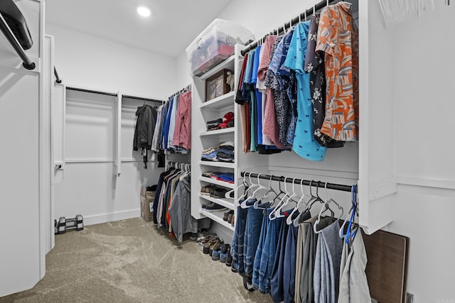 81 Fletcher Ridge Dr, Little Rock, AR 72223 - walk in closet featuring carpet floors