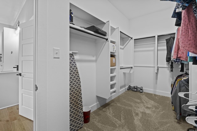 81 Fletcher Ridge Dr, Little Rock, AR 72223 - view of walk in closet