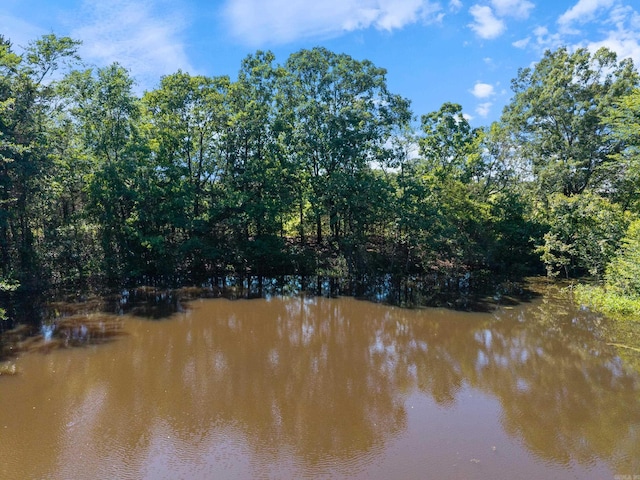 50 Merritt Trl, Greenbrier, AR 72058 - water view