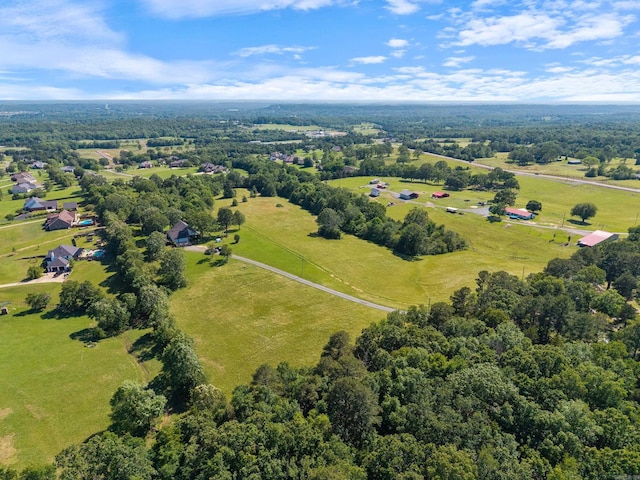 50 Merritt Trl, Greenbrier, AR 72058 - aerial view of sparsely populated area
