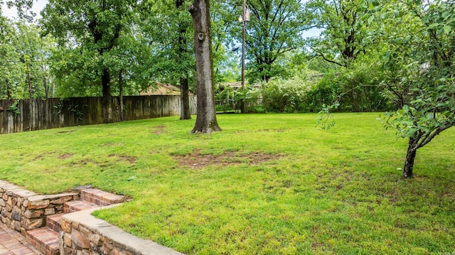 8010 Iowa Dr, Little Rock, AR 72227 - view of yard