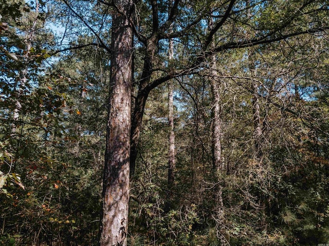 Listing photo - caption unavailable