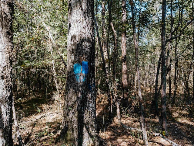 Listing photo - caption unavailable