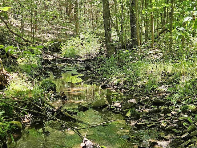 169 Cedar Creek Rd, Marshall, AR 72650