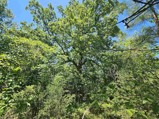169 Cedar Creek Rd, Marshall, AR 72650