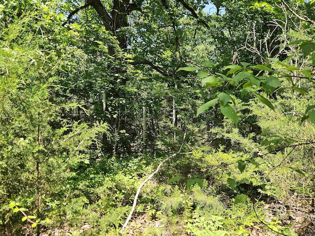 169 Cedar Creek Rd, Marshall, AR 72650