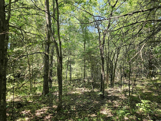 169 Cedar Creek Rd, Marshall, AR 72650