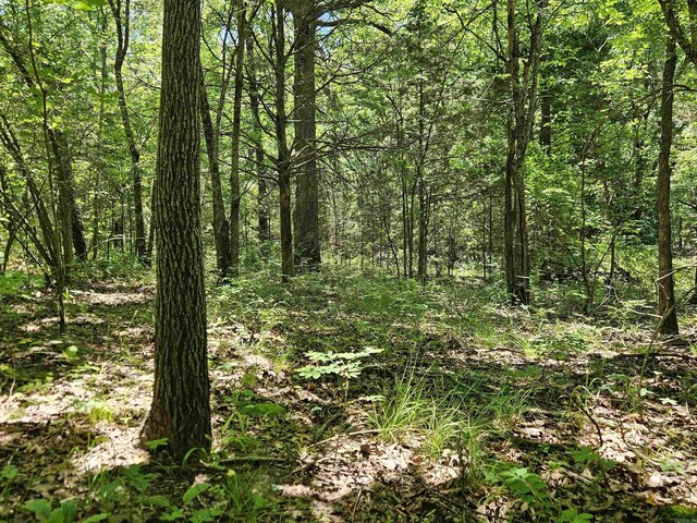 169 Cedar Creek Rd, Marshall, AR 72650