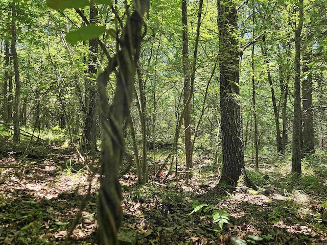 169 Cedar Creek Rd, Marshall, AR 72650