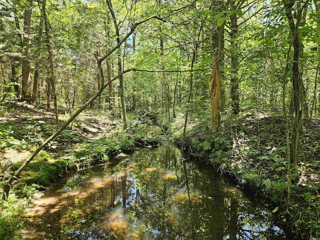 169 Cedar Creek Rd, Marshall, AR 72650
