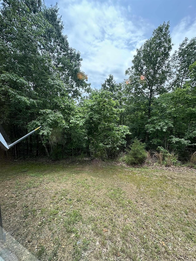 540 Polk Rd 78, Mena, AR 71953 - view of grassy yard