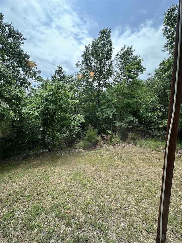 540 Polk Rd 78, Mena, AR 71953 - view of green lawn