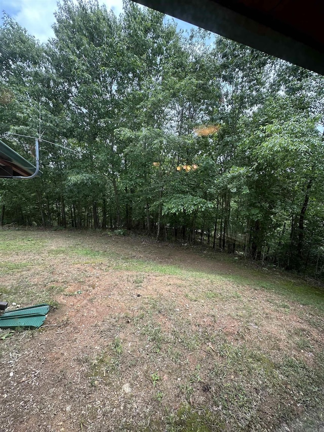 540 Polk Rd 78, Mena, AR 71953 - view of yard