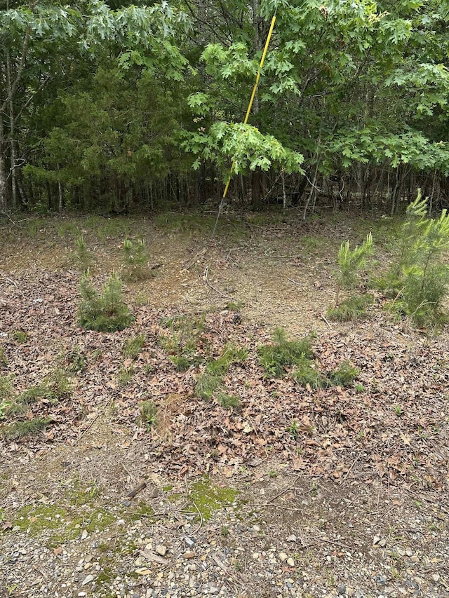 540 Polk Rd 78, Mena, AR 71953 - view of nature