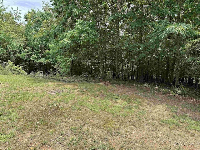 540 Polk Rd 78, Mena, AR 71953 - view of yard featuring a forest view