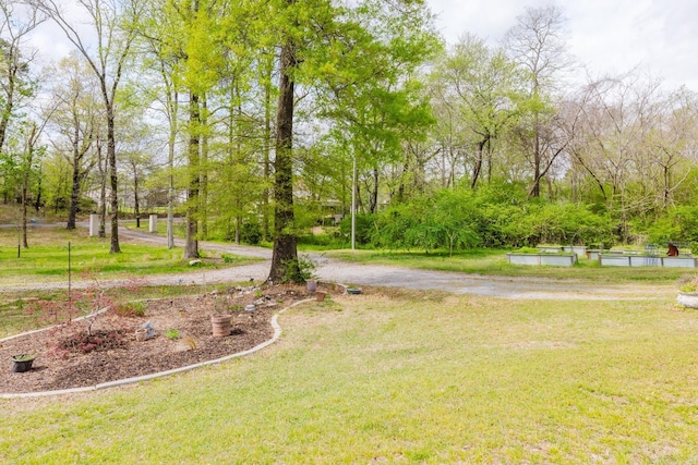 1112 Lawrence Ln, Benton, AR 72019 - view of yard