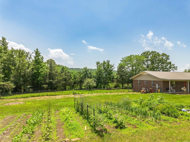 64 Castleberry Rd, Greenbrier, AR 72058 - view of yard