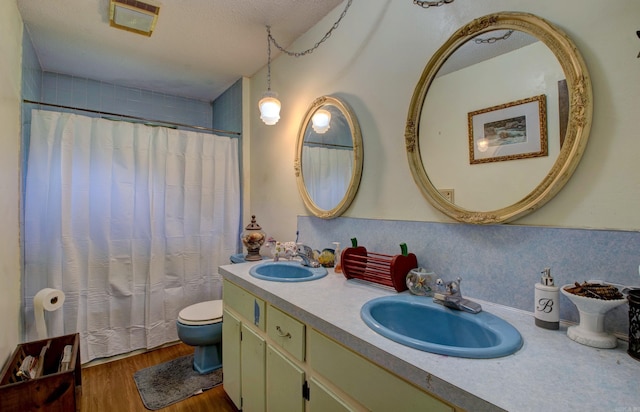 826 Carson Bridge Rd, Lonoke, AR 72086 - full bath featuring toilet, double vanity, wood finished floors, and a shower with shower curtain