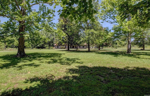 826 Carson Bridge Rd, Lonoke, AR 72086 - view of green lawn with view of scattered trees