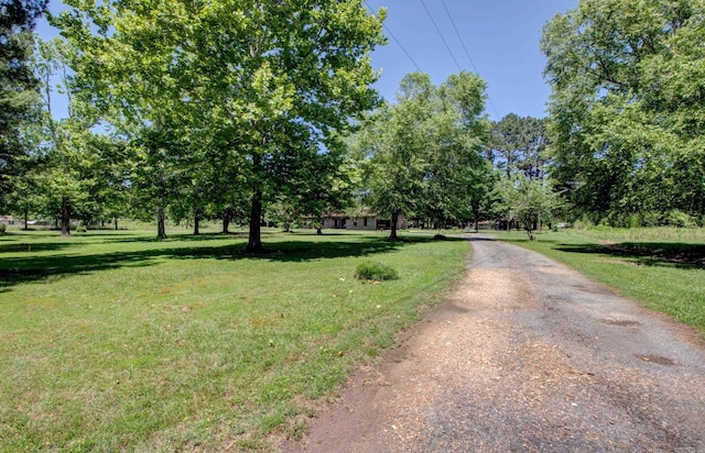 826 Carson Bridge Rd, Lonoke, AR 72086 - view of road