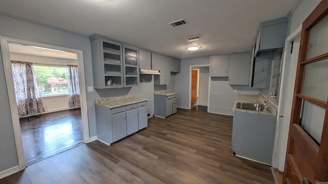 401 W S St, Benton, AR 72015 - kitchen featuring gray cabinetry, a sink, dark wood-style floors, under cabinet range hood, and baseboards