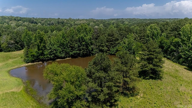 6221 Bray Dr, Benton, AR 72019 - bird's eye view of a heavily wooded area and a large body of water
